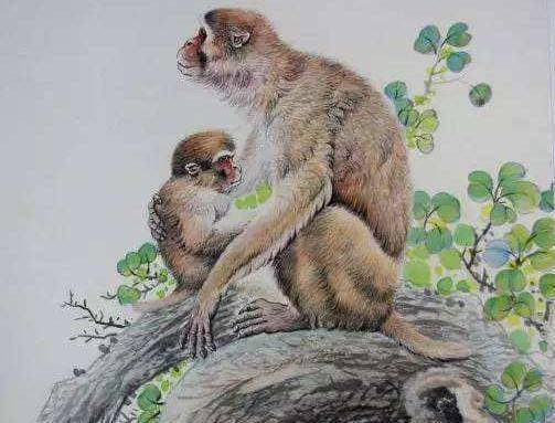 Sang tháng 4/2022: 4 con giáp hứng đủ mưa tiền gió bạc, giàu bất chấp - Hình 4 Sang thang 4/2022: 4 con giap hung du mua tien gio bac, giau bat chap-Hinh-4