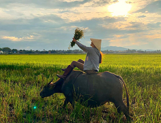 Mặc áo trễ cổ sâu đi chăn trâu, cô "nông dân" bị chê cười? - Hình 9 Mac ao tre co sau di chan trau, co