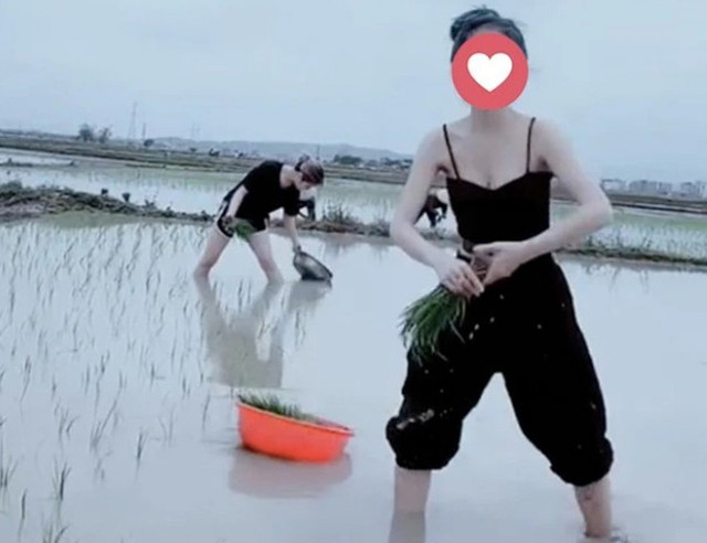 Mặc áo trễ cổ sâu đi chăn trâu, cô "nông dân" bị chê cười? - Hình 14 Mac ao tre co sau di chan trau, co