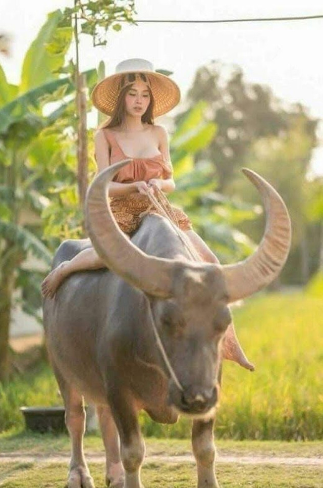 Mặc áo trễ cổ sâu đi chăn trâu, cô "nông dân" bị chê cười? - Hình 10 Mac ao tre co sau di chan trau, co