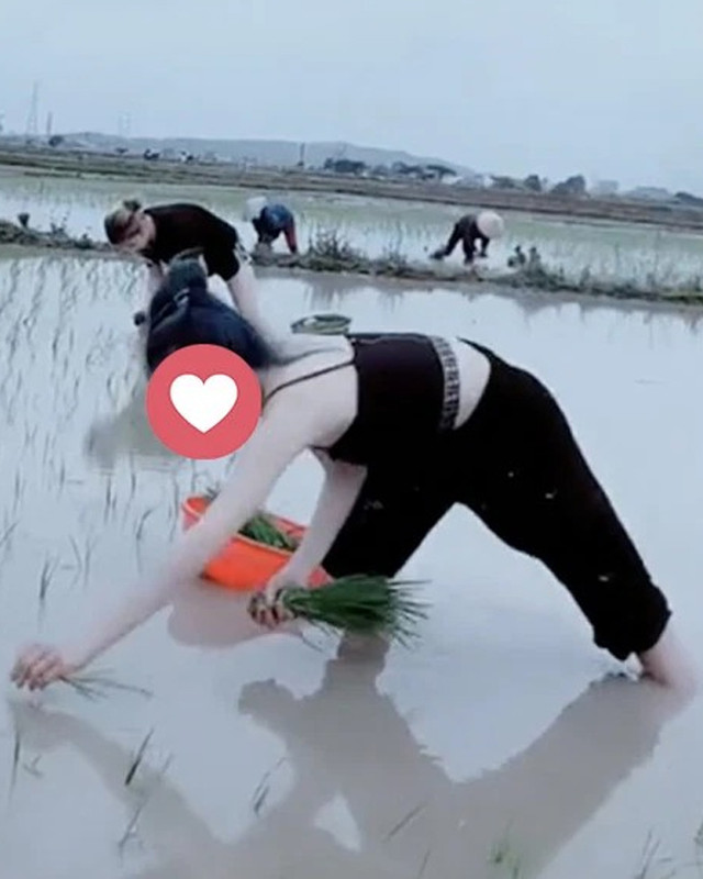 Mặc áo trễ cổ sâu đi chăn trâu, cô "nông dân" bị chê cười? - Hình 15 Mac ao tre co sau di chan trau, co