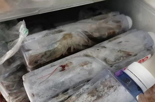 3 mẹo bảo quản tôm tươi ăn cả năm, cách cuối không ai ngờ - Hình 3 3 meo bao quan tom tuoi an ca nam, cach cuoi khong ai ngo-Hinh-3