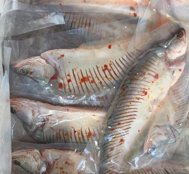 Loài cá xưa không ai thèm ăn nay bán 330.000 đồng/kg - Hình 11 Loai ca xua khong ai them an nay ban 330.000 dong/kg-Hinh-11