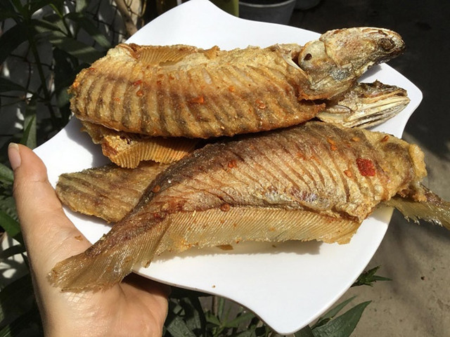Loài cá xưa không ai thèm ăn nay bán 330.000 đồng/kg - Hình 5 Loai ca xua khong ai them an nay ban 330.000 dong/kg-Hinh-5