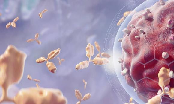 Nên cắt bỏ 3 loại polyp để tránh nguy cơ ung thư Nen cat bo 3 loai polyp de tranh nguy co ung thu