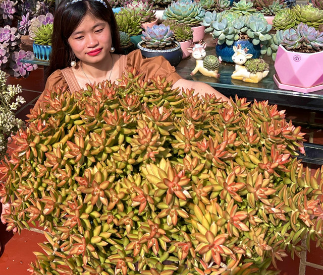 Thú chơi khiến cô gái Sơn La "cháy túi", đi trăm km thỏa đam mê - Hình 6 Thu choi khien co gai Son La