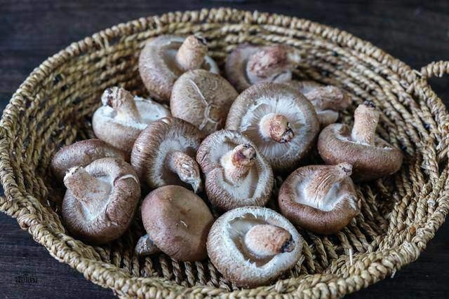 Mua nấm hương tươi, có 4 loại tránh xa kẻo rước bệnh - Hình 3 Mua nam huong tuoi, co 4 loai tranh xa keo ruoc benh-Hinh-3