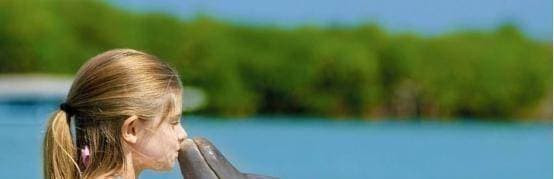 Tại sao cá heo bị gọi là biến thái? - Hình 2 Tai sao ca heo bi goi la bien thai?-Hinh-2