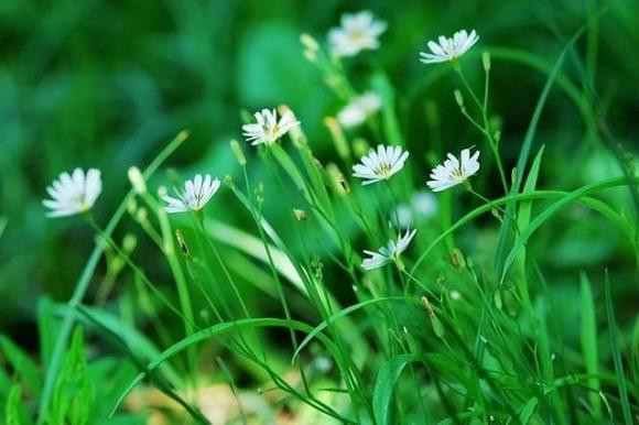 Người có trí tuệ cảm xúc cao không đến thăm nhà ba người này - Hình 2 Nguoi co tri tue cam xuc cao khong den tham nha ba nguoi nay-Hinh-2