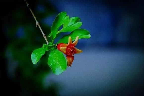 Người có trí tuệ cảm xúc cao không đến thăm nhà ba người này - Hình 3 Nguoi co tri tue cam xuc cao khong den tham nha ba nguoi nay-Hinh-3