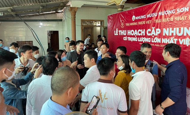 Cặp nhung hươu “độc nhất vô nhị”, được trả 220 triệu chưa bán - Hình 4 Cap nhung huou “doc nhat vo nhi”, duoc tra 220 trieu chua ban-Hinh-4