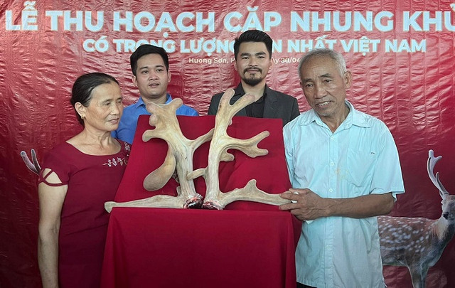 Cặp nhung hươu “độc nhất vô nhị”, được trả 220 triệu chưa bán - Hình 6 Cap nhung huou “doc nhat vo nhi”, duoc tra 220 trieu chua ban-Hinh-6