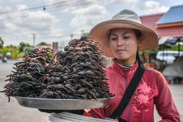 Tạp chí ẩm thực bình chọn 5 món ăn "gây sốc" Đông Nam Á - Hình 5 Tap chi am thuc binh chon 5 mon an