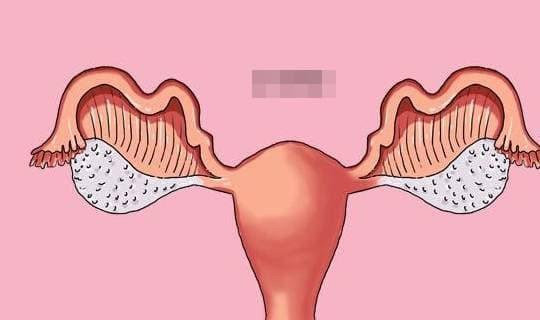 Ăn chay trong thời gian dài có tốt hay không tốt cho cơ thể? - Hình 4 An chay trong thoi gian dai co tot hay khong tot cho co the?-Hinh-4