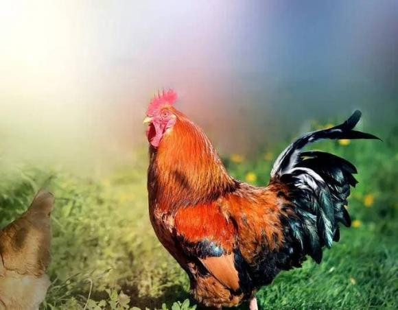 Từ giờ tới hết tháng 3/2022: 4 con giáp quét sạch vận đen, giàu khủng - Hình 4 Tu gio toi het thang 3/2022: 4 con giap quet sach van den, giau khung-Hinh-4