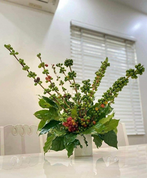 Thú chơi mua cành quả về cắm của chị em Hà thành - Hình 7 Thu choi mua canh qua ve cam cua chi em Ha thanh-Hinh-7