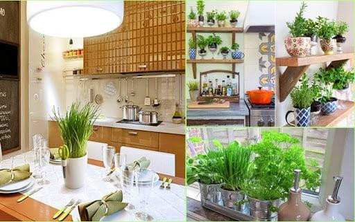 Bếp là nơi tụ tài, làm 2 điều để cả năm đại cát Bep la noi tu tai, lam 2 dieu de ca nam dai cat