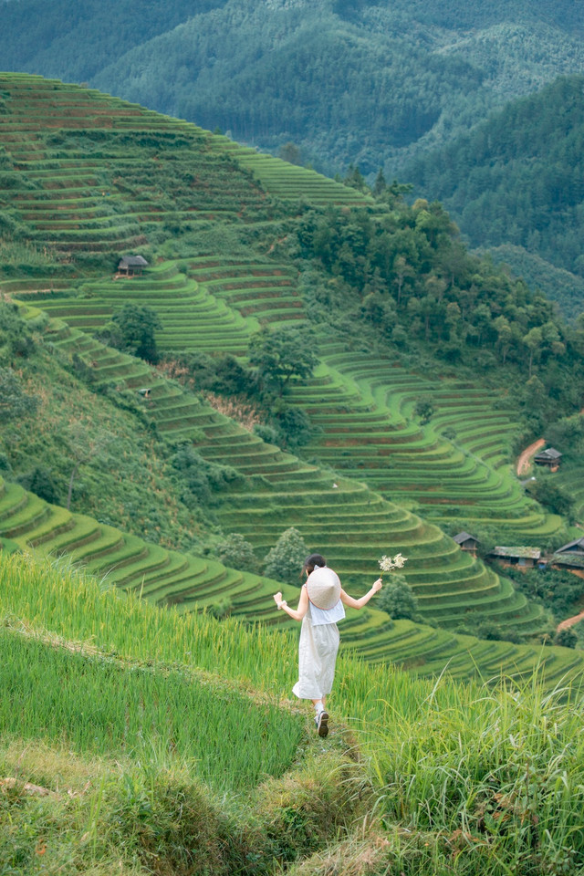 Khám phá Mù Cang Chải mùa lúa chín - Hình 2 Kham pha Mu Cang Chai mua lua chin-Hinh-2