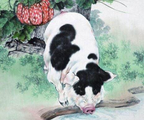 3 con giáp nữ 'có họ' với Thần Tài, cả đời không lo khổ - Hình 3 3 con giap nu 'co ho' voi Than Tai, ca doi khong lo kho-Hinh-3