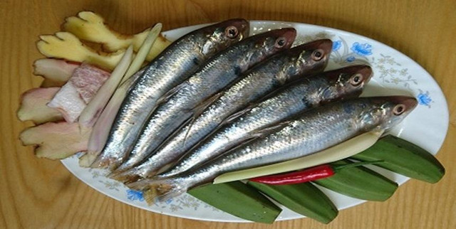 5 loại cá vừa bổ lại không nuôi công nghiệp 5 loai ca vua bo lai khong nuoi cong nghiep