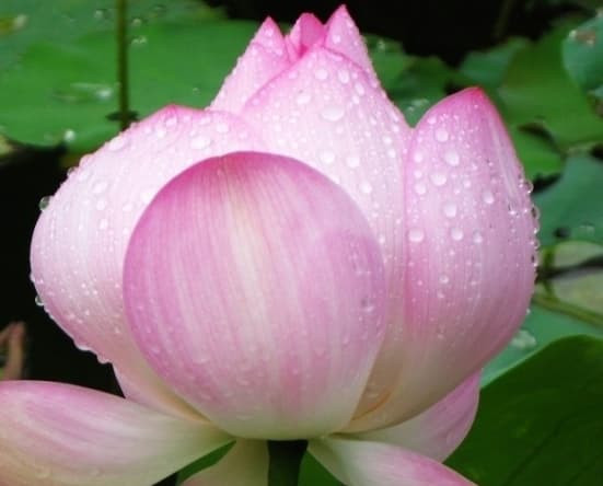 Cuộc sống quá mệt mỏi? Hãy làm 3 điều này để giảm bớt gánh nặng Cuoc song qua met moi? Hay lam 3 dieu nay de giam bot ganh nang