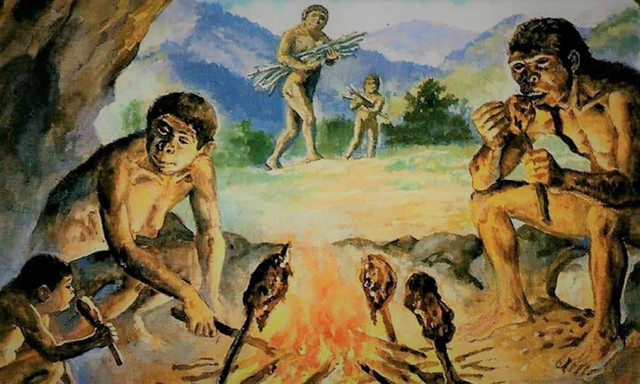 780 nghìn năm trước cá đã được nấu ở Israel như thế nào? 780 nghin nam truoc ca da duoc nau o Israel nhu the nao?