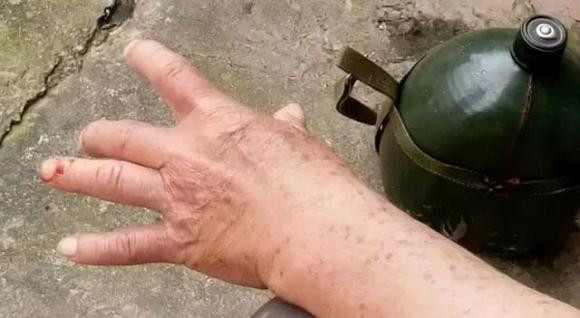Vì sao rắn ngâm rượu "lâu ngày không chết"? Sốc khi biết sự thật! - Hình 4 Vi sao ran ngam ruou
