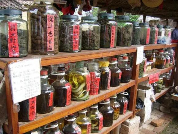 Vì sao rắn ngâm rượu "lâu ngày không chết"? Sốc khi biết sự thật! - Hình 2 Vi sao ran ngam ruou