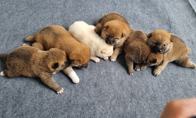 20 tuổi khởi nghiệp với 7 triệu đồng, giờ thu về 150 triệu đồng/tháng - Hình 5 20 tuoi khoi nghiep voi 7 trieu dong, gio thu ve 150 trieu dong/thang-Hinh-5
