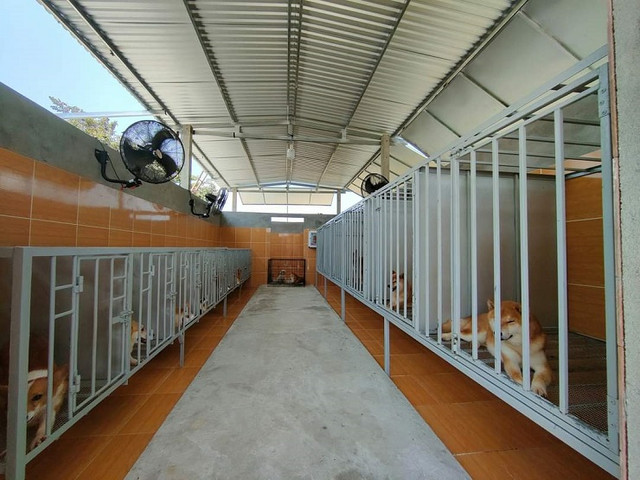 20 tuổi khởi nghiệp với 7 triệu đồng, giờ thu về 150 triệu đồng/tháng - Hình 6 20 tuoi khoi nghiep voi 7 trieu dong, gio thu ve 150 trieu dong/thang-Hinh-6