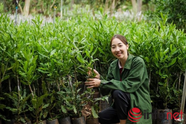 Nữ doanh nhân 9x hành trình đưa mắc ca Việt Nam ra biển lớn Nu doanh nhan 9x hanh trinh dua mac ca Viet Nam ra bien lon