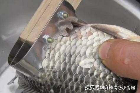 Bộ phận giàu dinh dưỡng nhất của cá, ngang yến sào nhưng thường bị vứt - Hình 3 Bo phan giau dinh duong nhat cua ca, ngang yen sao nhung thuong bi vut-Hinh-3