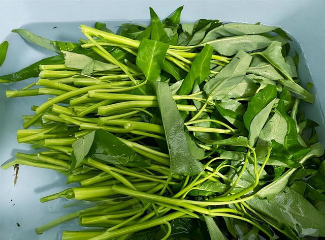 3 loại rau quen thuộc quá nhiều ký sinh trùng - Hình 3 3 loai rau quen thuoc qua nhieu ky sinh trung-Hinh-3