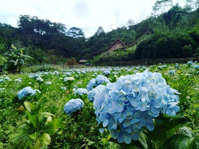 Người sinh giờ này tính cách trung thực, sau tuổi 35 giàu có - Hình 3 Nguoi sinh gio nay tinh cach trung thuc, sau tuoi 35 giau co-Hinh-3
