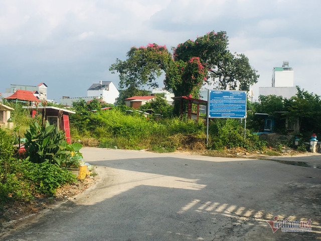 Dân ở khu đất vàng quận 2 khốn khổ vì mùi tử thi - Hình 2 Dan o khu dat vang quan 2 khon kho vi mui tu thi-Hinh-2