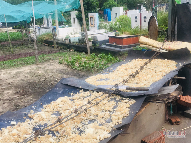 Dân ở khu đất vàng quận 2 khốn khổ vì mùi tử thi - Hình 4 Dan o khu dat vang quan 2 khon kho vi mui tu thi-Hinh-4