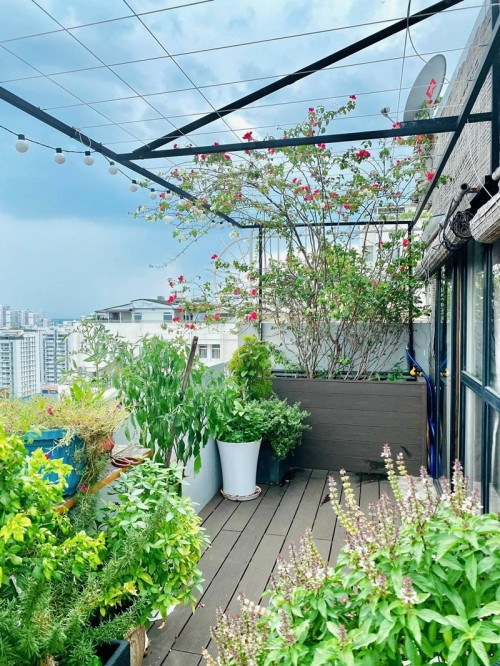 Tiểu thư miền Tây xinh đẹp khoe khu vườn trên cao đẹp như mơ - Hình 4 Tieu thu mien Tay xinh dep khoe khu vuon tren cao dep nhu mo-Hinh-4