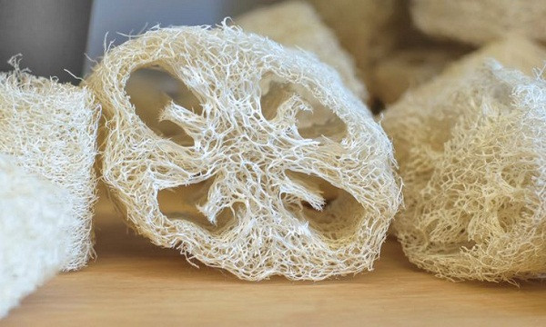 7 vật dụng trong nhà là “kẻ thù” đối với sức khỏe của bạn - Hình 5 7 vat dung trong nha la “ke thu” doi voi suc khoe cua ban-Hinh-5