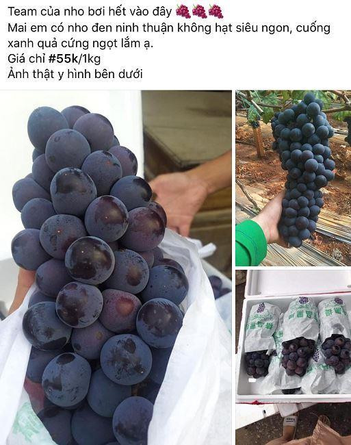 5 loại nho siêu rẻ, đang làm mưa làm gió trên thị trường 5 loai nho sieu re, dang lam mua lam gio tren thi truong