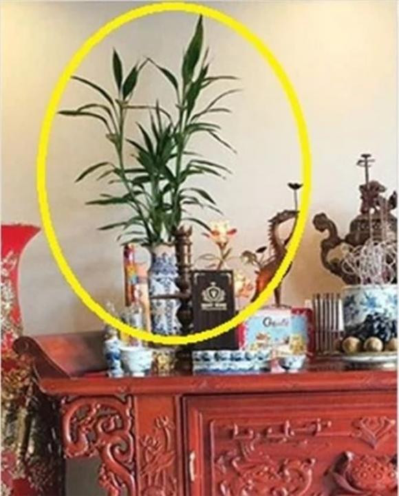 Dùng loại hoa cúng này đảm bảo gặp nhiều may mắn dịp lễ Tết Dung loai hoa cung nay dam bao gap nhieu may man dip le Tet