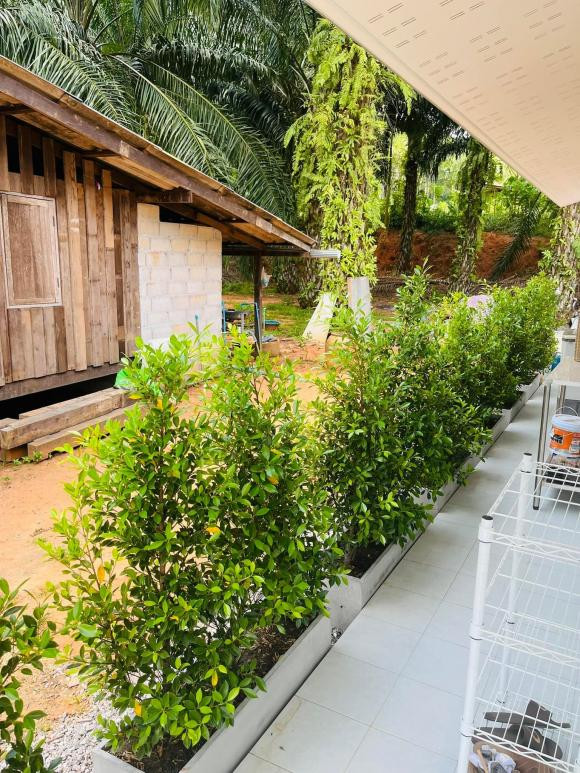 Nhân viên văn phòng xây mẫu nhà cấp bốn vừa đẹp vừa rẻ - Hình 6 Nhan vien van phong xay mau nha cap bon vua dep vua re-Hinh-6
