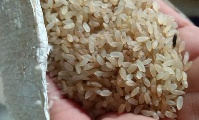 Đặc sản Yên Bái: Loại gạo ngậm sương, không dám phơi nắng Dac san Yen Bai: Loai gao ngam suong, khong dam phoi nang