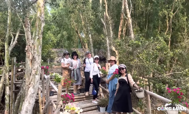 Chiêm ngưỡng vẻ đẹp của rừng tràm Trà Sư mùa nước nổi ở An Giang - Hình 3 Chiem nguong ve dep cua rung tram Tra Su mua nuoc noi o An Giang-Hinh-3
