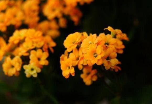 4 con số sinh nhật “thần thánh", hưởng số giàu sang, gia đình thịnh vượng - Hình 4 4 con so sinh nhat “than thanh