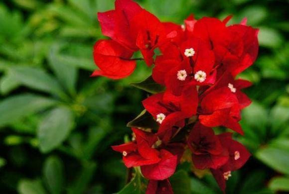 4 con số sinh nhật “thần thánh", hưởng số giàu sang, gia đình thịnh vượng 4 con so sinh nhat “than thanh