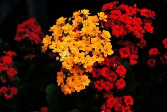 4 con số sinh nhật “thần thánh", hưởng số giàu sang, gia đình thịnh vượng - Hình 3 4 con so sinh nhat “than thanh