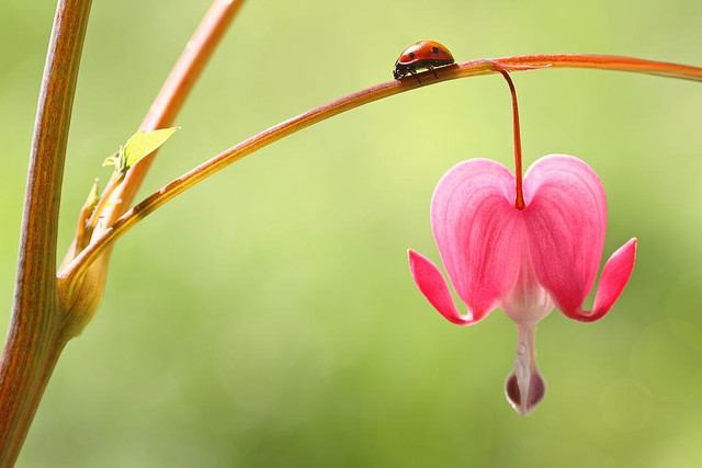 Người sinh vào ngày Âm lịch này tự tay lập nghiệp, tiền bạc dư dả - Hình 2 Nguoi sinh vao ngay Am lich nay tu tay lap nghiep, tien bac du da-Hinh-2