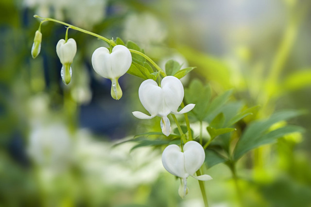 Người sinh vào ngày Âm lịch này tự tay lập nghiệp, tiền bạc dư dả Nguoi sinh vao ngay Am lich nay tu tay lap nghiep, tien bac du da
