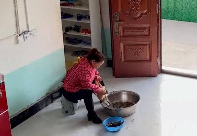 Đang vặt lông gà, hành động của bà mẹ khiến dân tình bật cười Dang vat long ga, hanh dong cua ba me khien dan tinh bat cuoi