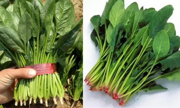 4 loại thực phẩm hữu ích thúc đẩy sự phát triển của bé - Hình 3 4 loai thuc pham huu ich thuc day su phat trien cua be-Hinh-3